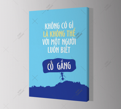 Không Gì Là Không Thể Với Một Người Luôn Biết Cố Gắng